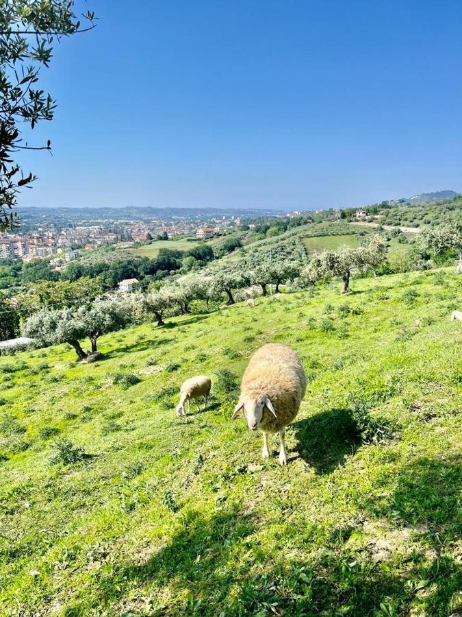 Mirabel Lägenhet Chieti Exteriör bild